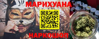 сатива Гай