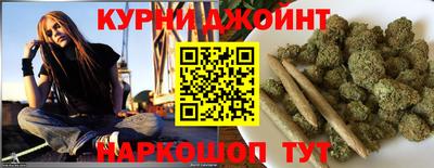 сатива Гай