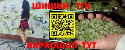 сатива Гай