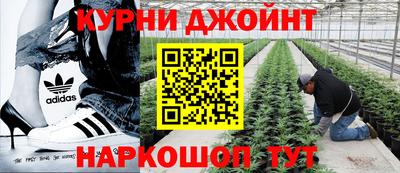 мескалин Гатчина