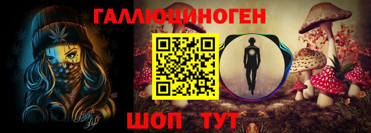 Псилоцибиновые грибы GOLDEN TEACHER Всеволожск